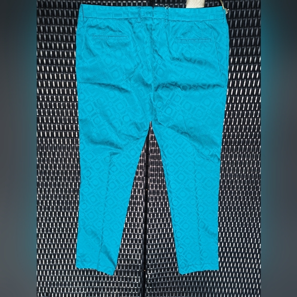 NWT Teal Ankle Cropped Pants, Sophie Style, PTOW Woman Pant, Size EU 48 - Picture 3 of 10
